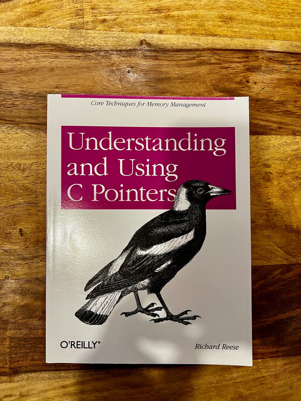 "Understanding and Using C Pointers" by Richard Reese